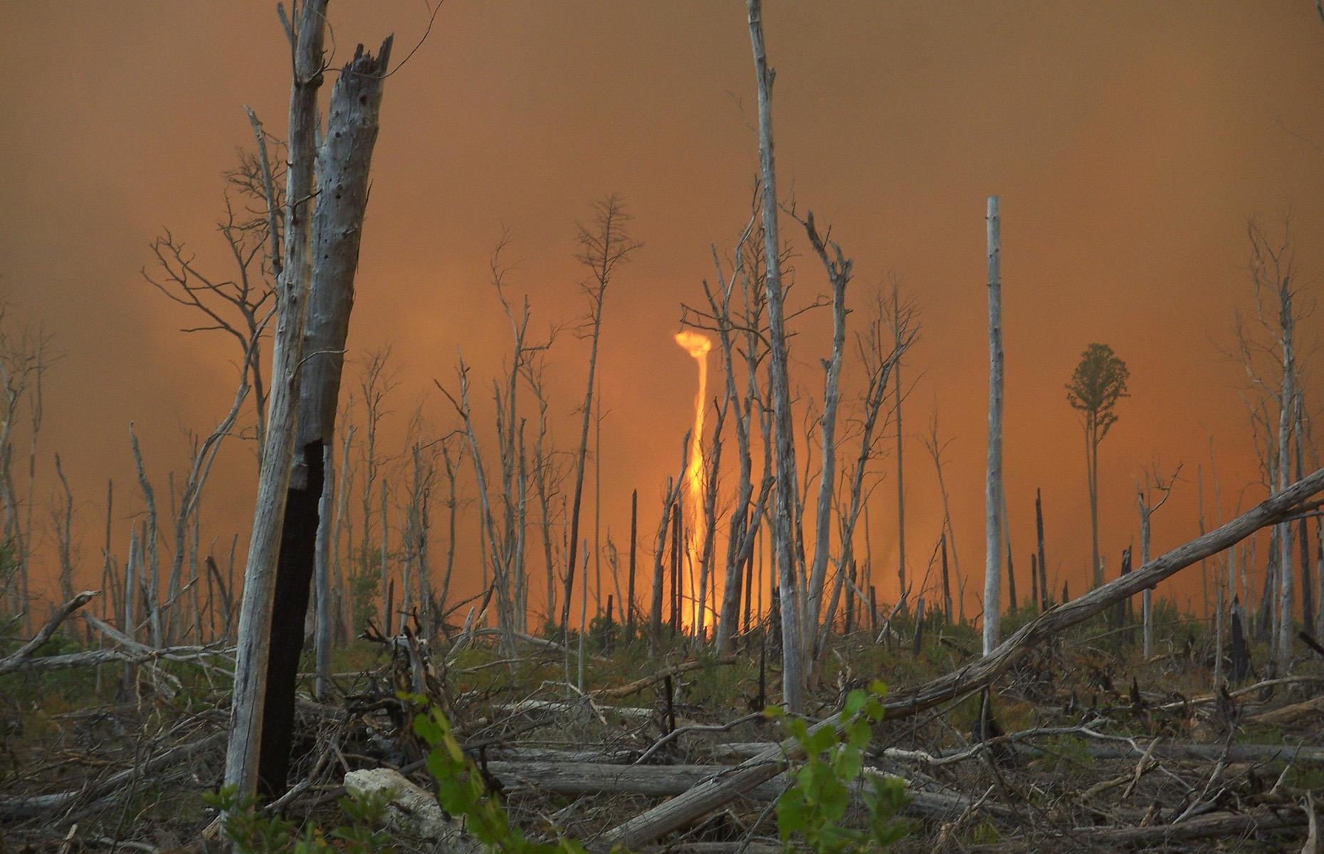 Fire whirls, Great Dismal Swamp National Wildlife Refuge, Virginia, USA